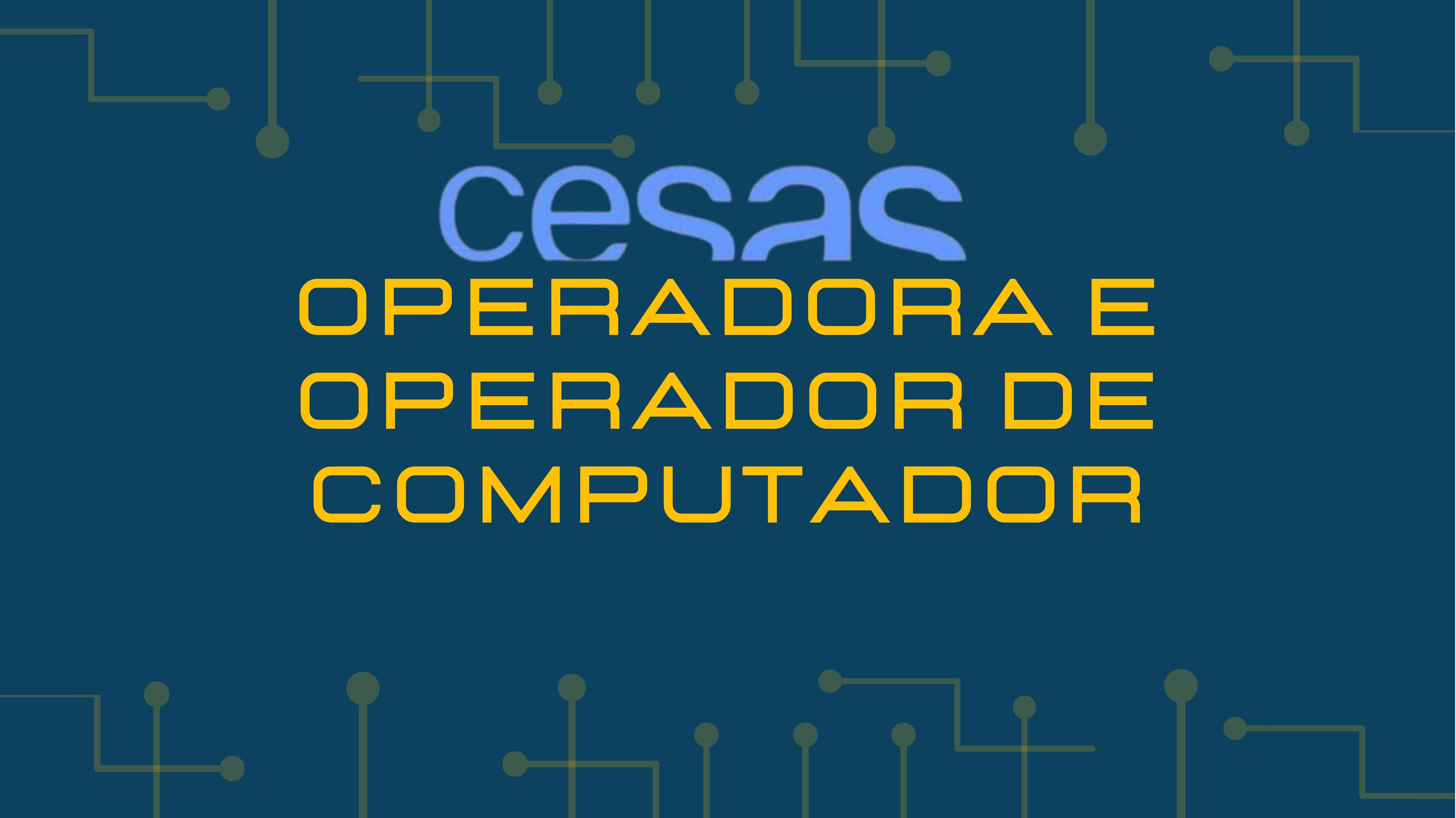 OPERADOR DE COMPUTRADOR - 2/2024